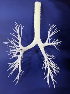 A highly detailed, 3D printed anatomical model of a human trachea and bronchial tree in white, against a blue background.